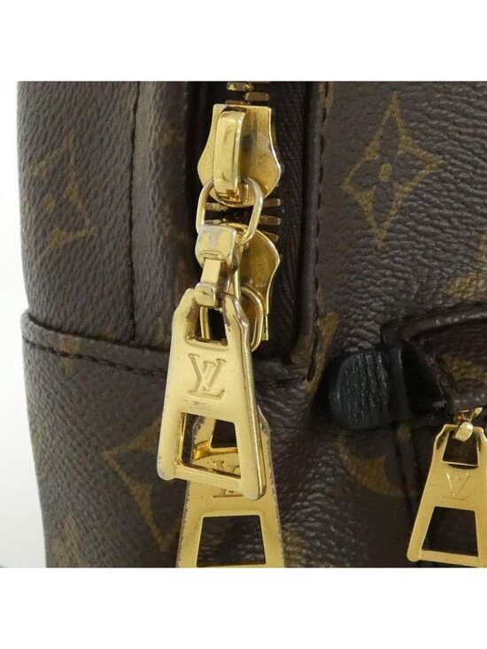 Louis Vuitton Monogram Palm Springs Backpack PM main image 7
